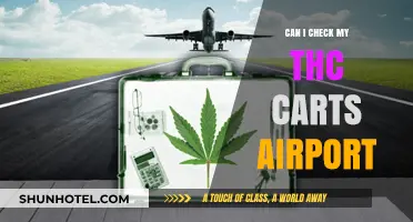 Traveling with THC: Airport Security and Your Vape