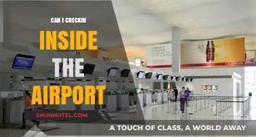 Checking In: Navigating Airport Check-In Options