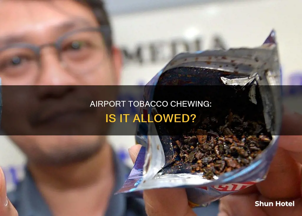 can i chew tobacco in an airport