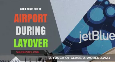 Exploring Airports: Can I Leave During a Layover?