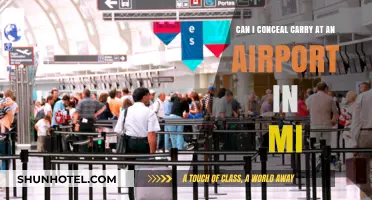 Airport Carry: Michigan's Laws on Concealed Weapons