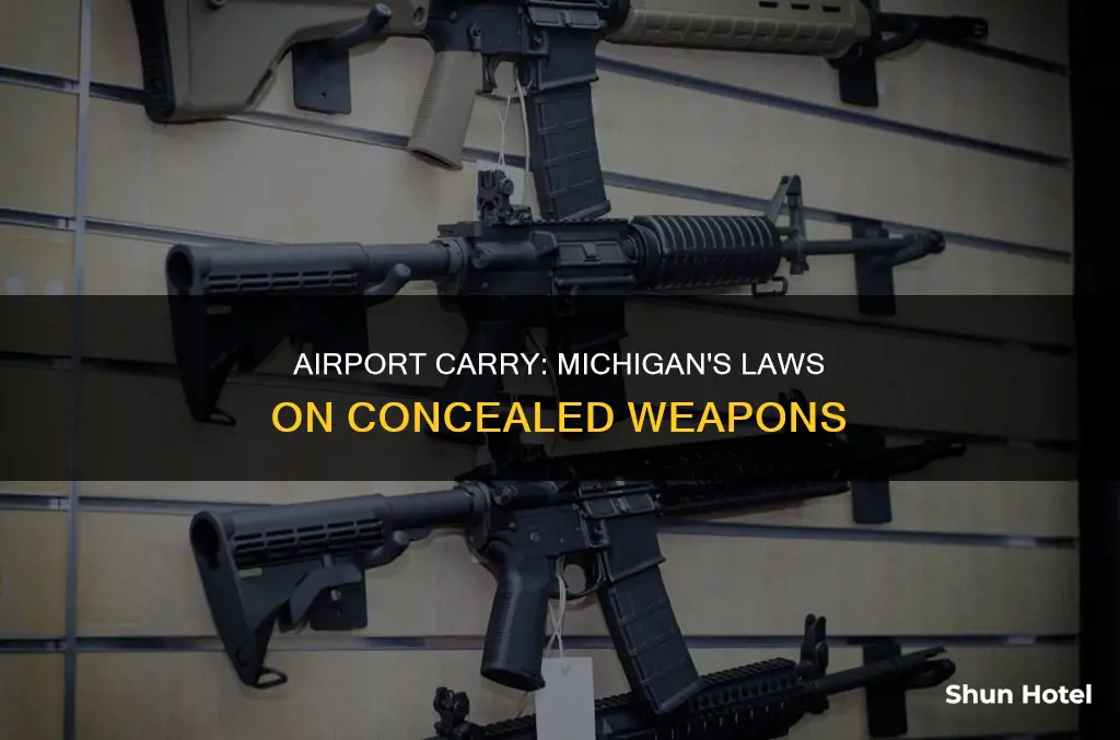 can i conceal carry at an airport in mi