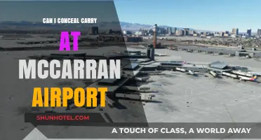 Travelers' Guide: Carrying Firearms at McCarran Airport