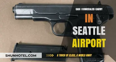 Seattle Airport: Can I Bring My Gun?