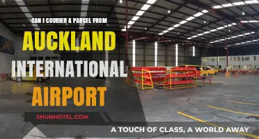 Auckland Airport: Sending Parcels via Courier