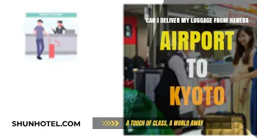 Luggage Delivery from Haneda to Kyoto: Is It Possible?