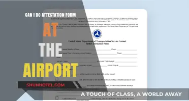 Traveling with an Attestation Form: Airport Essentials