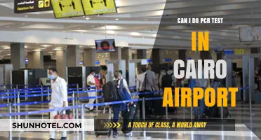 PCR Testing Availability at Cairo Airport
