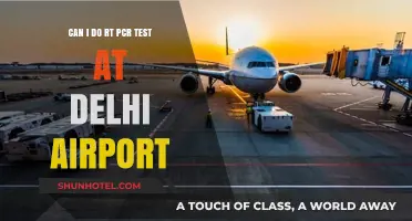 Delhi Airport: RT-PCR Testing Available?