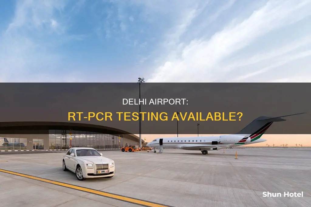 can i do rt pcr test at delhi airport