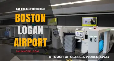 Self Check-In: Boston Logan Airport Options