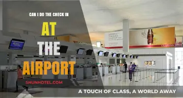 Check-In Options: Airport or Online?