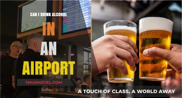 Airport Drinking: Alcohol Policies and Rules