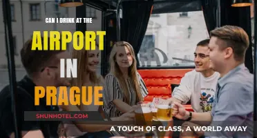 Drinking at Prague Airport: What You Need to Know