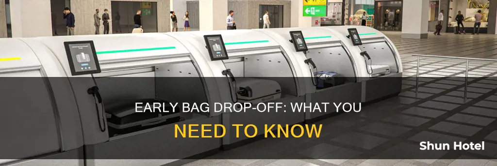can i drop my bags off early at the airport