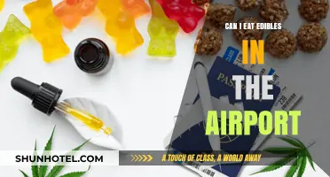 Edibles in Airports: What You Need to Know