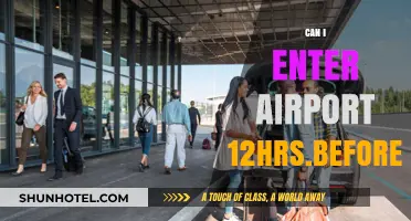 Early Birds: Accessing Airports Before Your Flight