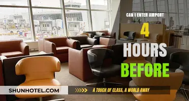 Arriving Early: Exploring Airport Entry Timing