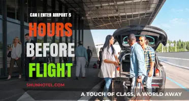 Early Birds: Airport Entry Hours Before Flight