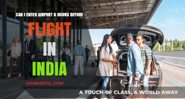 Early Birds: Airport Entry Timing in India