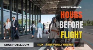 Early Birds: Airport Entry Before Your Flight