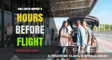 Early Birds: Airport Entry Hours Before Flight