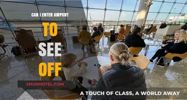 How to Enter an Airport to See Off a Loved One