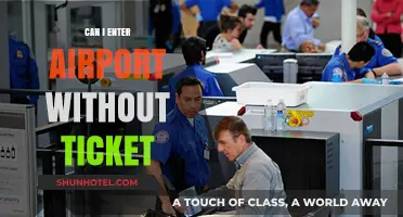 How to Access an Airport Without a Ticket