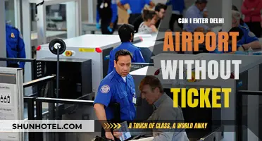 Exploring Delhi Airport Without a Ticket: Is It Possible?