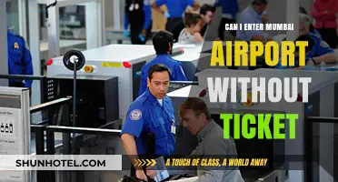 Mumbai Airport: Can I Enter Without a Ticket?