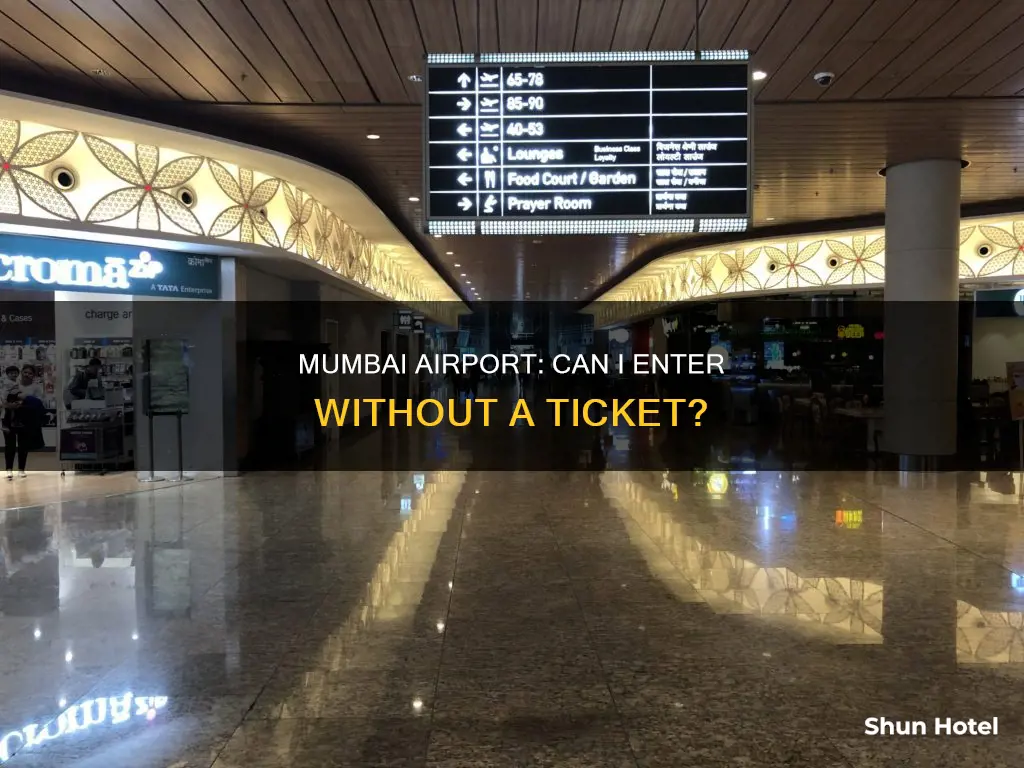 can i enter mumbai airport without ticket