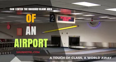 Exploring Airport Baggage Claim Access