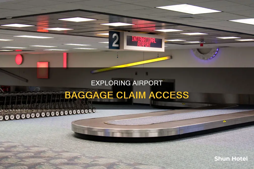 can i enter the baggage claim area of an airport