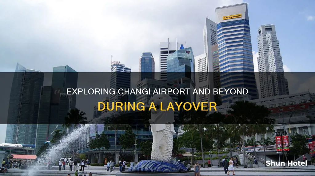 can i exit changi airport during a layover