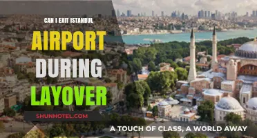 Exploring Istanbul During a Layover: Is It Possible?