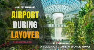 Exploring Singapore: Making the Most of Your Layover
