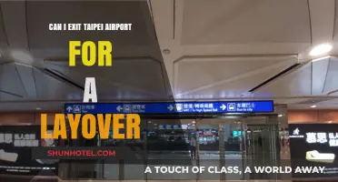 Exploring Taipei During a Layover: Can You Leave the Airport?