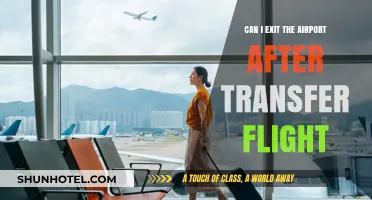 Explore the City: Transfer Flight Layovers