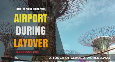 Exploring Singapore's Airport During a Layover