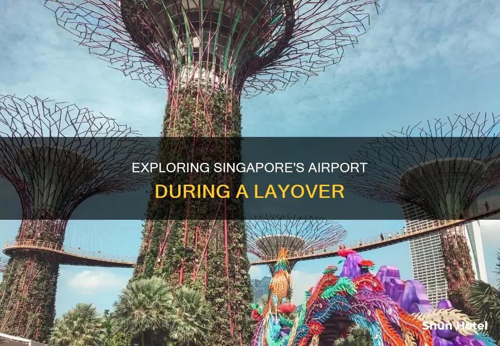 can i explore singapore airport during layover