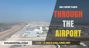 Air Travel with Plants: Export Rules and Regulations