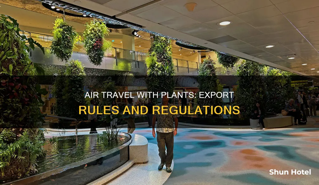 can i export plants through the airport