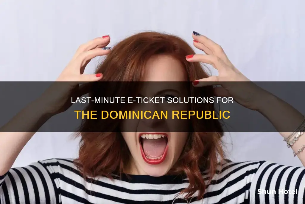 can i fill out e-ticket for dominican republic at airport