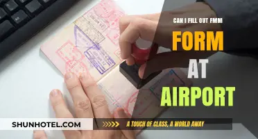 Filling Out FMM Forms: Airport or Before?