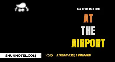 Mad Libs: Airport Edition