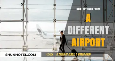 Exploring Options: Returning from Alternate Airports