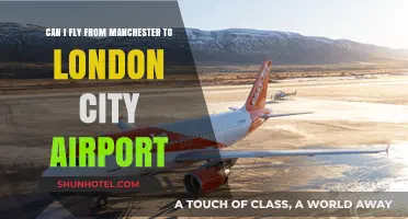 Flying from Manchester to London: Is City Airport an Option?
