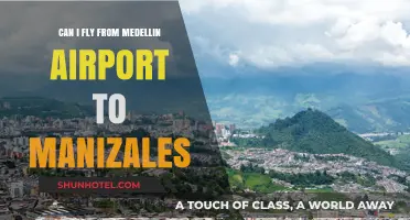 Exploring Travel Options: Medellin to Manizales by Air