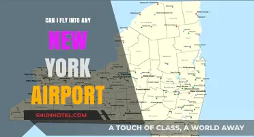 New York Airports: Which One Should You Fly Into?