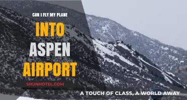 Aspen Airport: Private Flights and Important Considerations